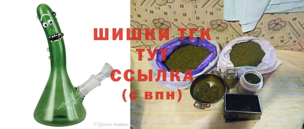 метадон Инта