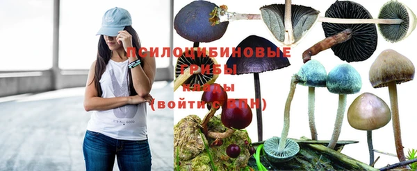 метадон Инта