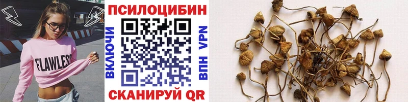 Купить закладки  Бологое  Галлюциногенные грибы мухоморы 